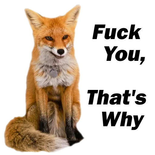 Sticker from the "Nixie_fox" sticker pack