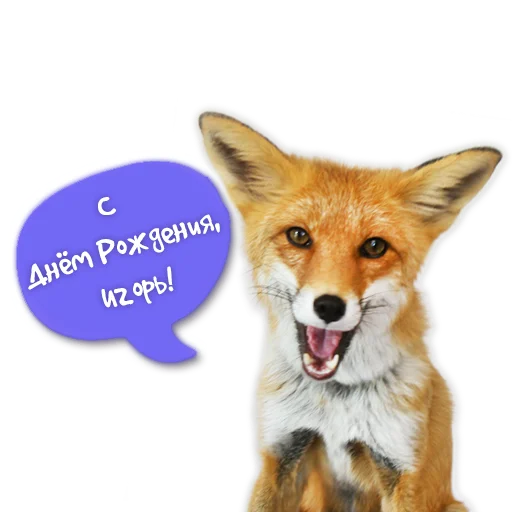 Sticker from the "Nixie_fox" sticker pack