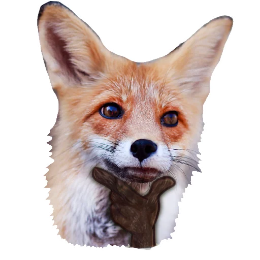 Sticker from the "Nixie_fox" sticker pack