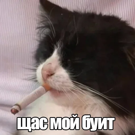 Sticker from the "Резонанс" sticker pack