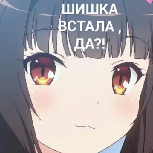 Sticker Томыч