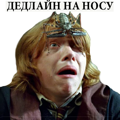 Стикер из набора "Harry Potter Stickers"