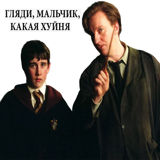 Стикер из набора "Harry Potter Stickers"