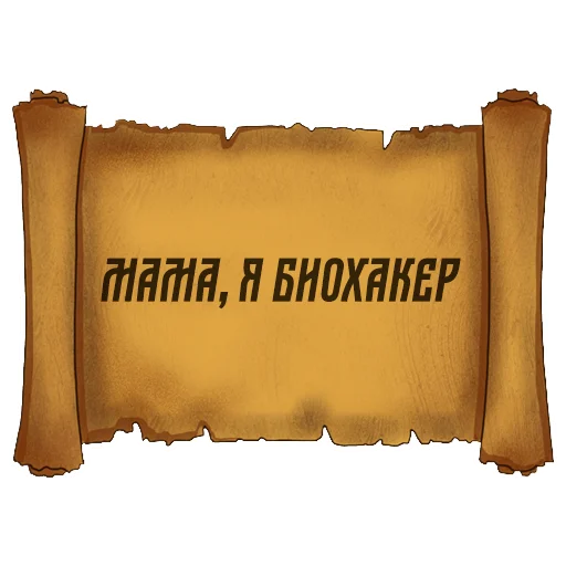 Sticker Русский Венчур