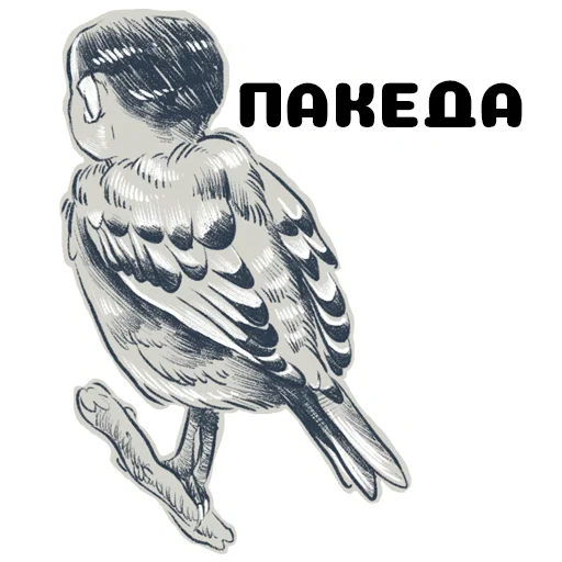 Sticker Гриша