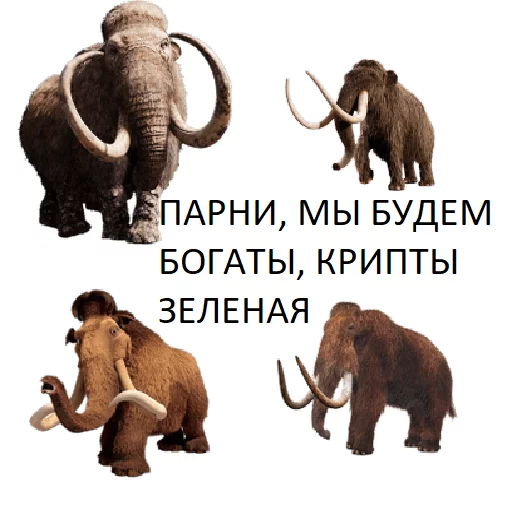 Sticker from the "Мамонтята" sticker pack