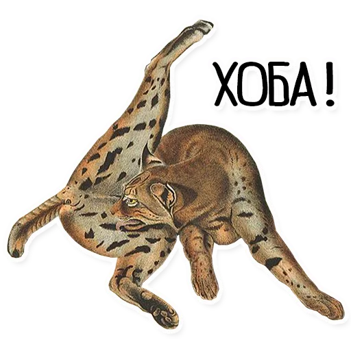 Sticker from the "Упоротый Антиквариат" sticker pack