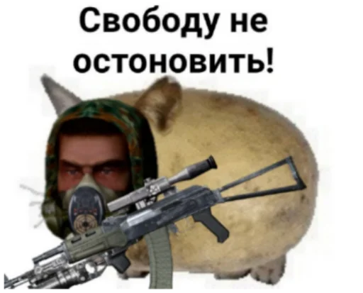 Sticker from the "Сталкерония" sticker pack