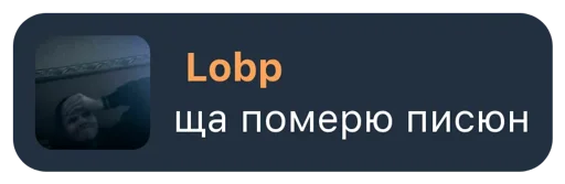 Стикер из набора "Lobp"