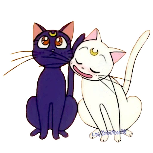 Sticker 😻Luna & Artemis😸