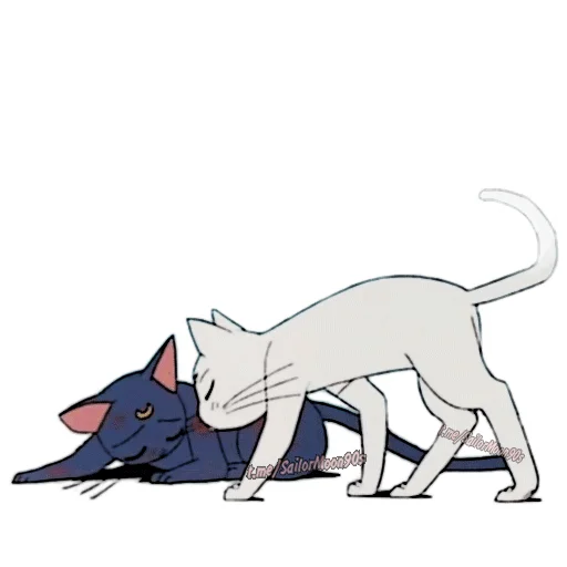 Sticker from the "😻Luna & Artemis😸" sticker pack