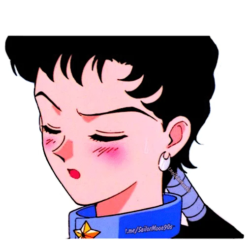 Sticker from the "✨Sailor Starlight✨" sticker pack