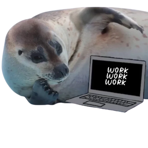 Sticker from the "seals4life" sticker pack