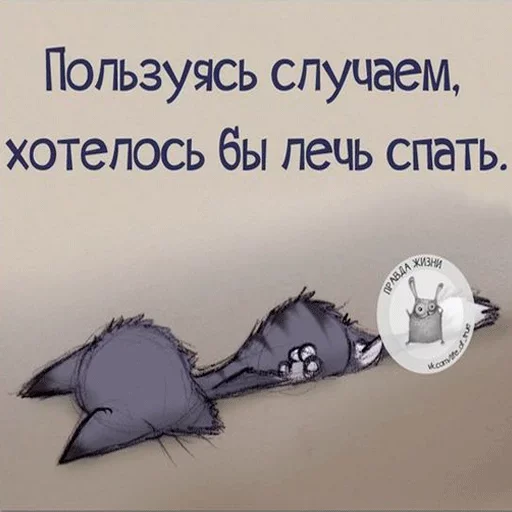 Sticker from the "Пора спать" sticker pack