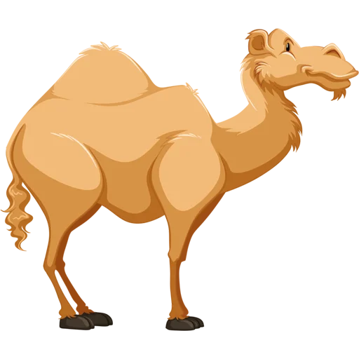 Sticker from the "Camels ਬੋਤੇ" sticker pack