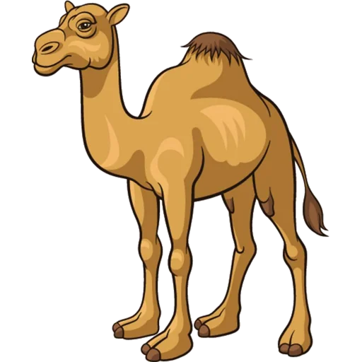 Sticker from the "Camels ਬੋਤੇ" sticker pack