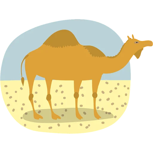 Sticker from the "Camels ਬੋਤੇ" sticker pack