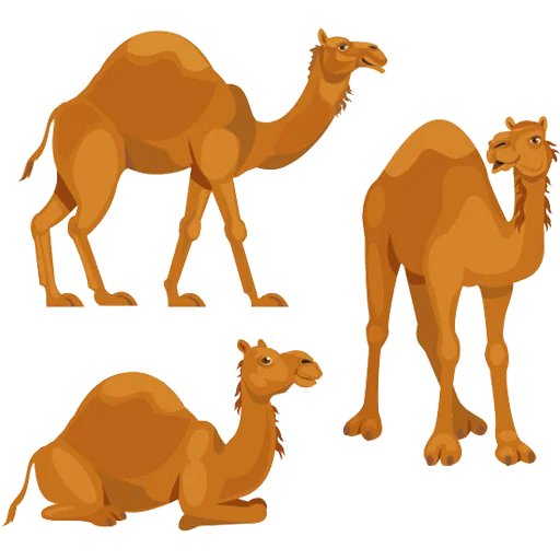 Sticker from the "Camels ਬੋਤੇ" sticker pack