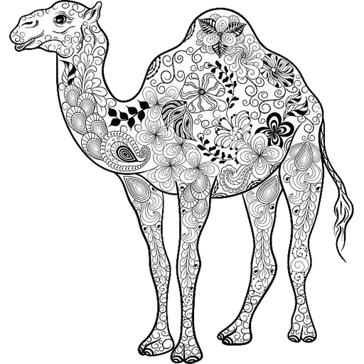 Sticker Camels ਬੋਤੇ