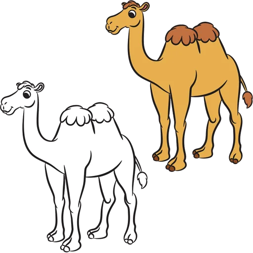 Sticker from the "Camels ਬੋਤੇ" sticker pack