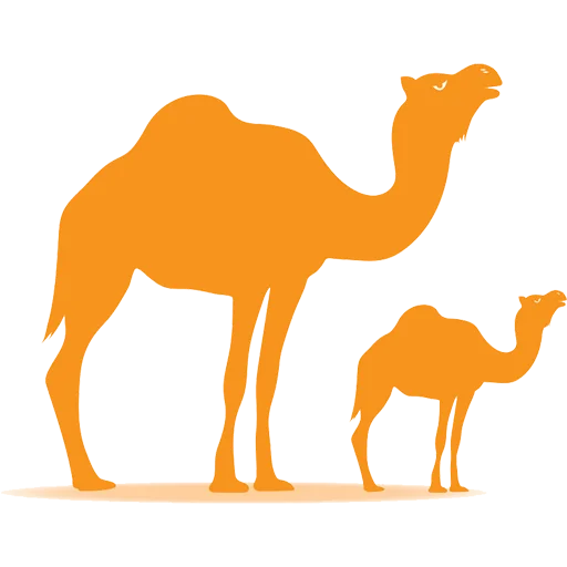 Sticker from the "Camels ਬੋਤੇ" sticker pack