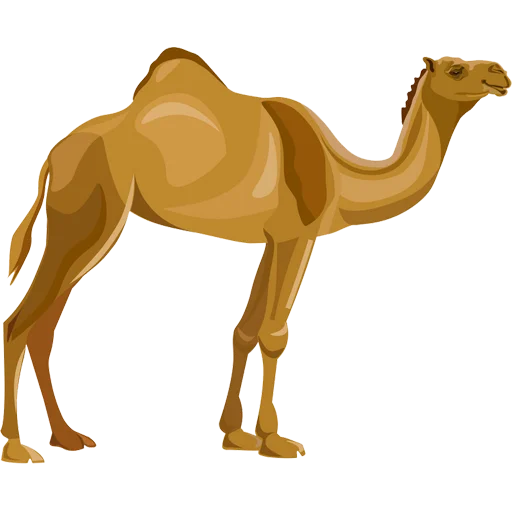 Sticker from the "Camels ਬੋਤੇ" sticker pack