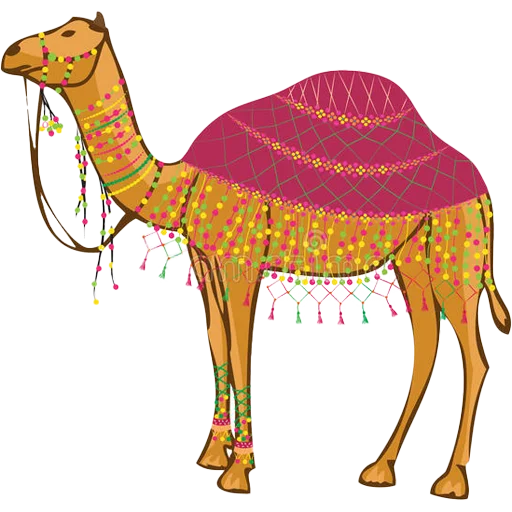 Sticker from the "Camels ਬੋਤੇ" sticker pack