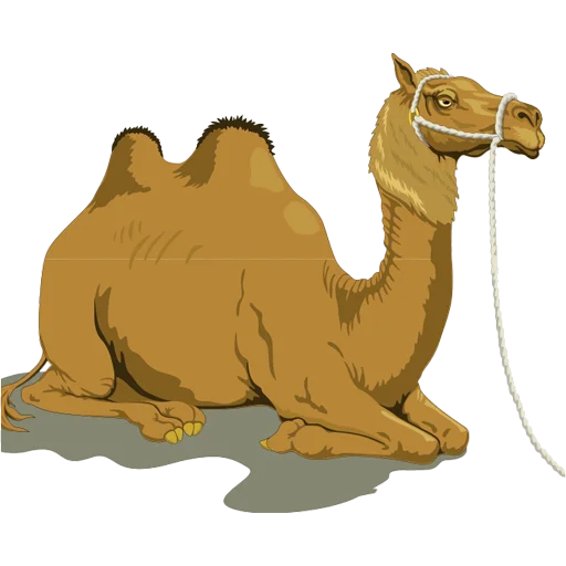 Sticker from the "Camels ਬੋਤੇ" sticker pack