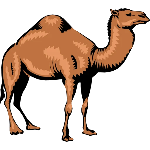 Sticker from the "Camels ਬੋਤੇ" sticker pack