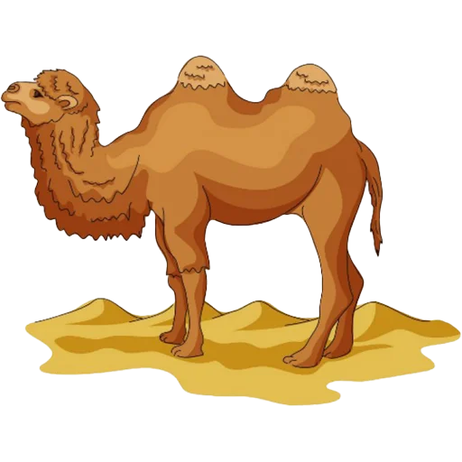 Sticker from the "Camels ਬੋਤੇ" sticker pack