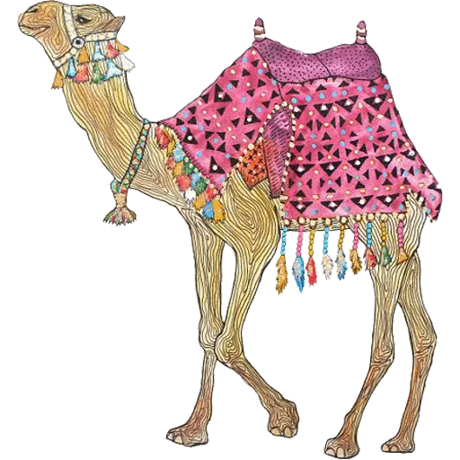 Sticker Camels ਬੋਤੇ