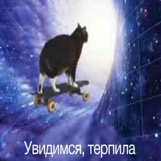 Sticker from the "ебаный зоопарк" sticker pack