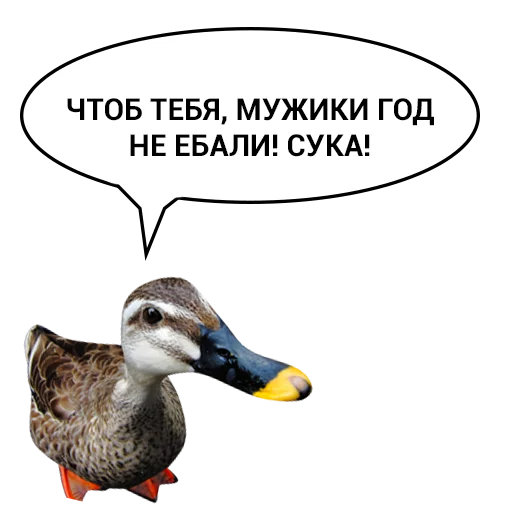 Sticker from the "Злая утка" sticker pack