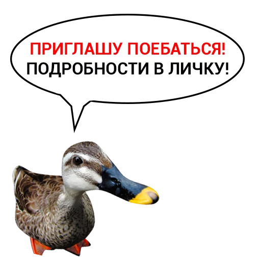 Sticker from the "Злая утка" sticker pack