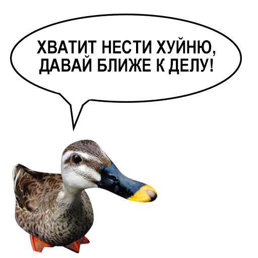 Sticker from the "Злая утка" sticker pack