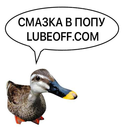 Sticker from the "Злая утка" sticker pack