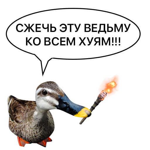 Sticker from the "Злая утка" sticker pack