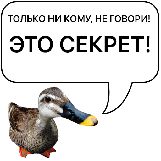 Sticker from the "Злая утка" sticker pack