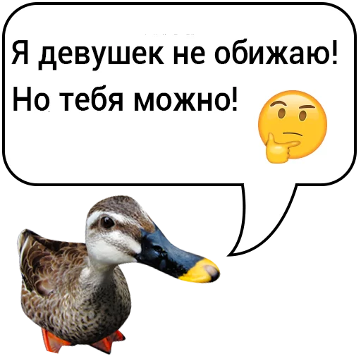 Sticker from the "Злая утка" sticker pack