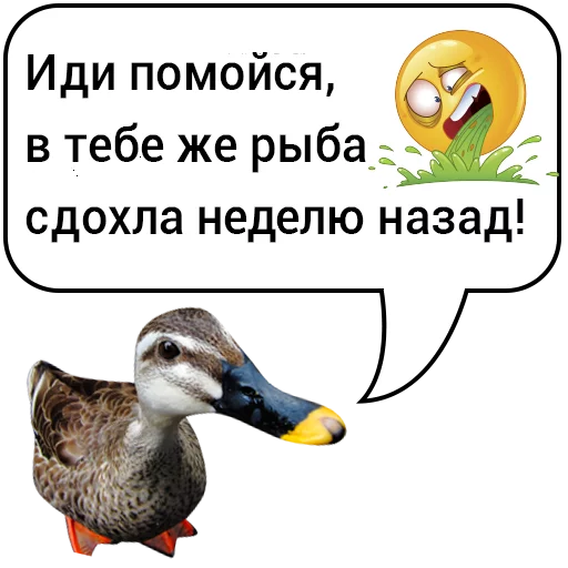 Sticker from the "Злая утка" sticker pack