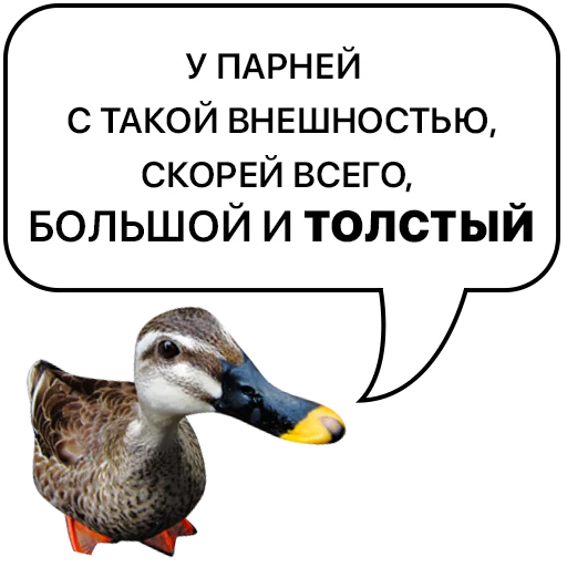 Sticker Злая утка