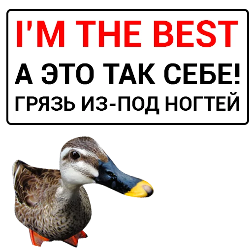 Sticker from the "Злая утка" sticker pack