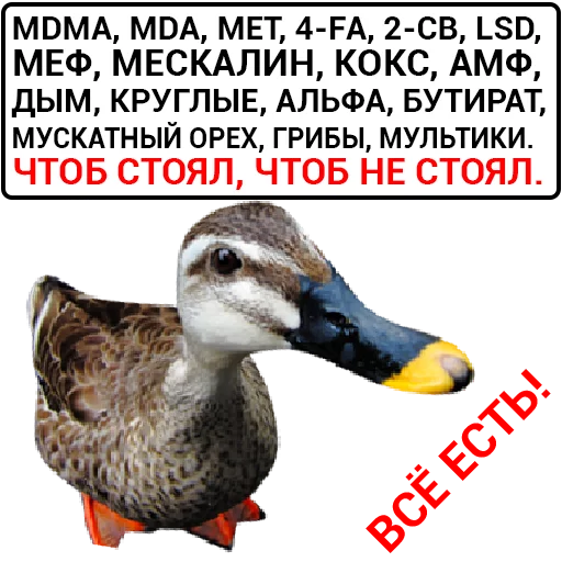 Sticker from the "Злая утка" sticker pack