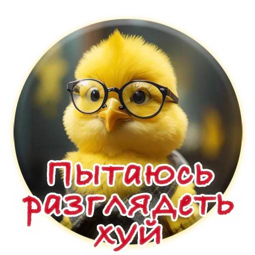 Sticker from the "Crazy Chicken!" sticker pack