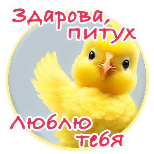 Sticker from the "Crazy Chicken!" sticker pack