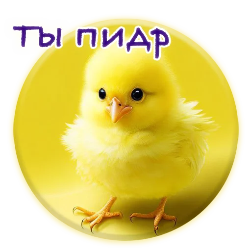 Sticker from the "Crazy Chicken!" sticker pack