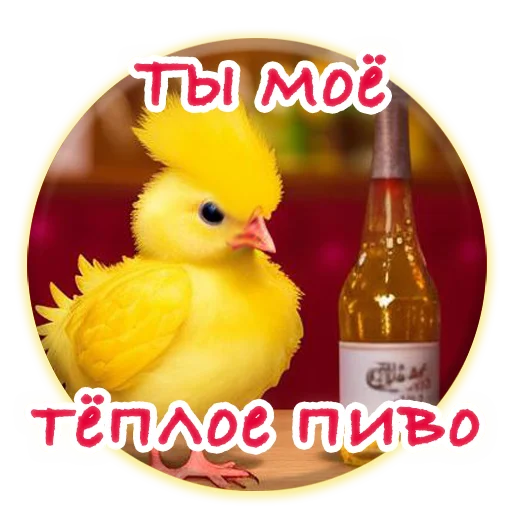 Sticker from the "Crazy Chicken!" sticker pack