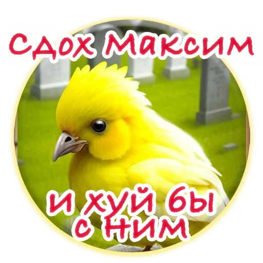 Sticker Crazy Chicken!