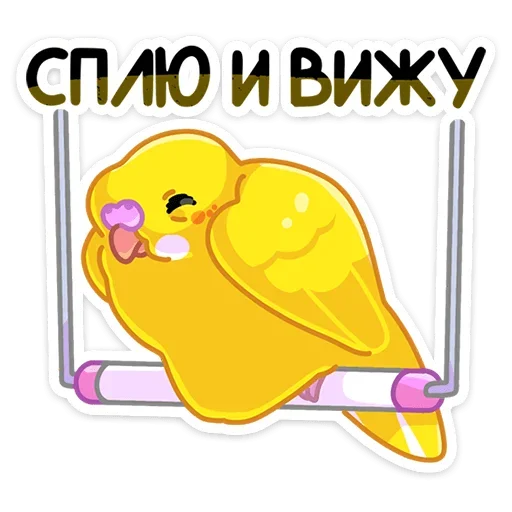 Sticker from the "Попуги" sticker pack