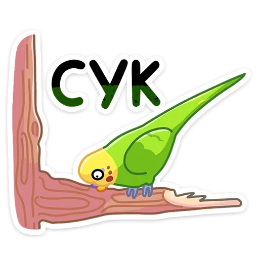 Sticker from the "Попуги" sticker pack